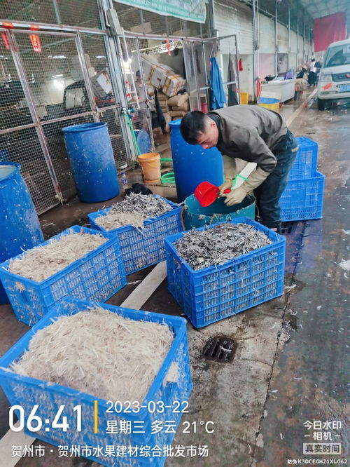 关于在建材水果批发市场内大量交易鸡鸭鹅和宰杀合理问题